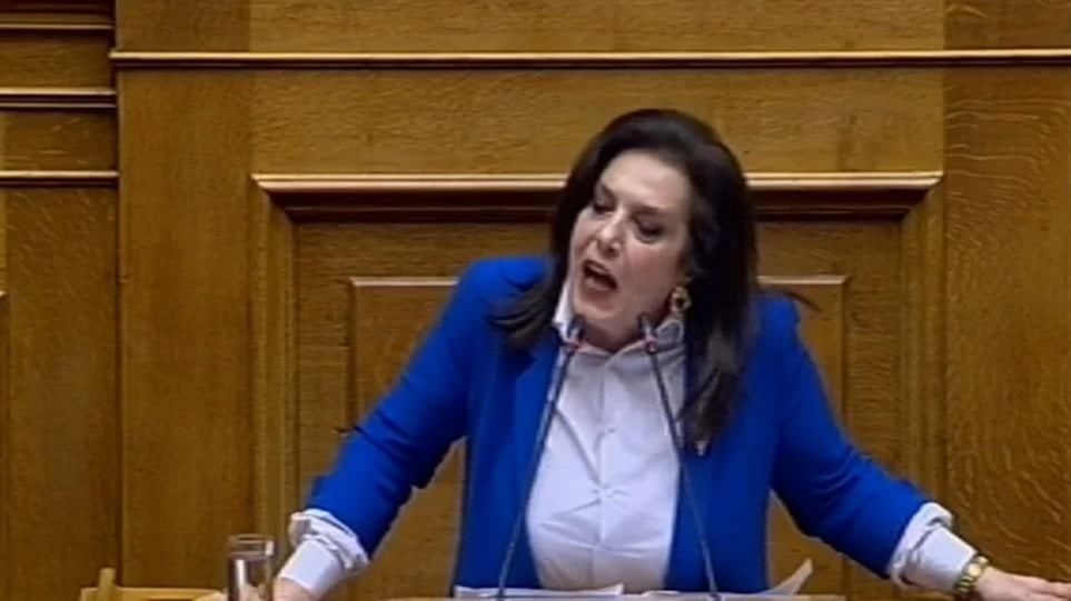 Επεισόδιο στη Βουλή με τη Μεγαλοοικονόμου: Πήγε στον Μάριο Γεωργιάδη και του κουνούσε το δάχτυλο φωνάζοντας (βίντεο)